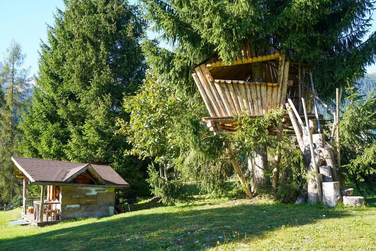 Tana Del Picchio Apartment Falcade Italy